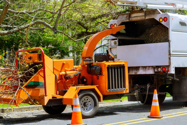 Manorhaven, NY Tree Removal and Landscaping Services Company